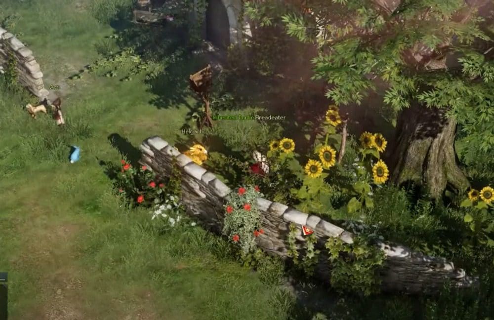 Long Protected Flower Garden Lost Ark