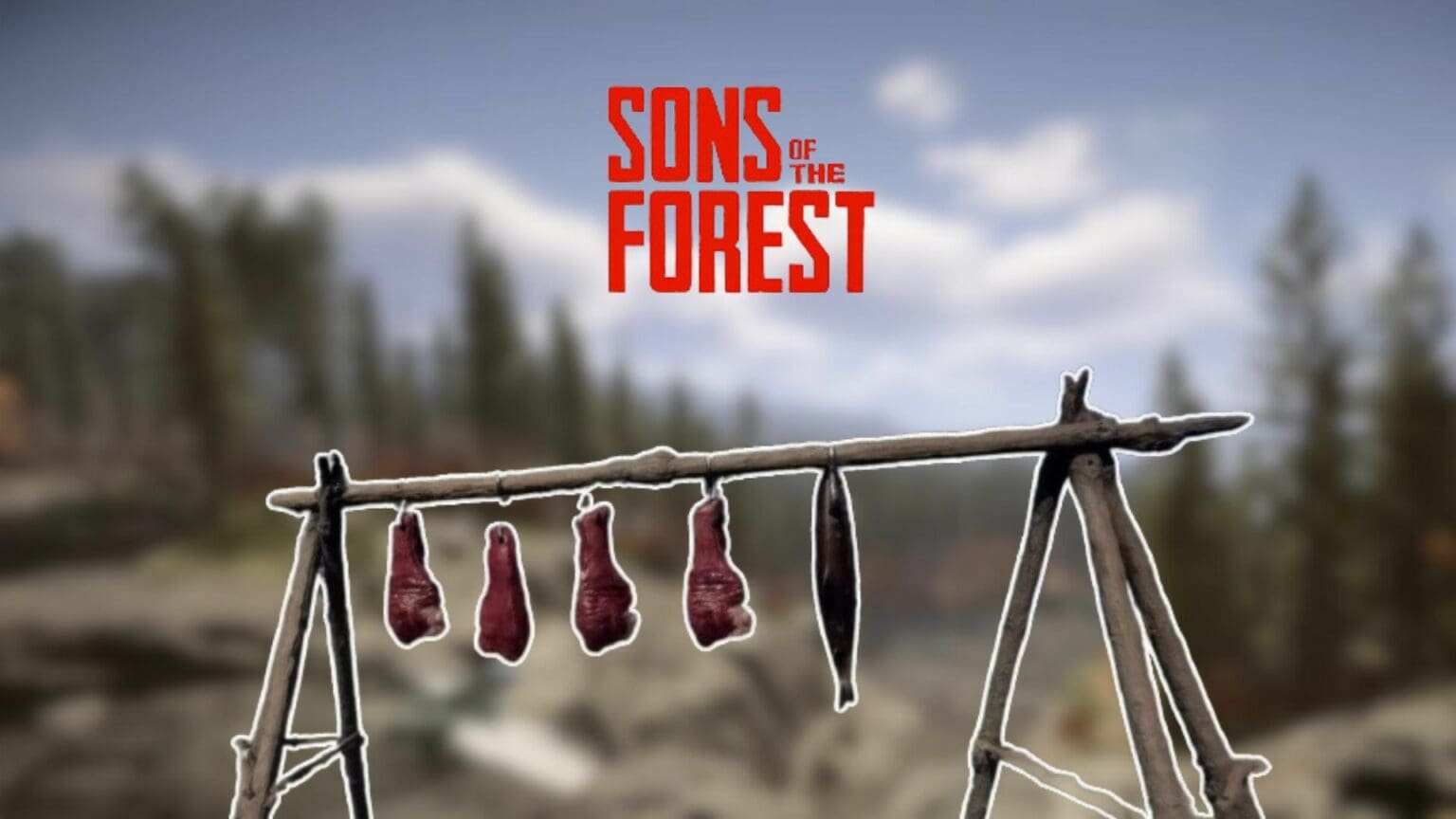 Sons Of The Forest drying rack not working